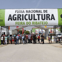 Access to the fair