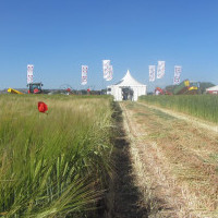 Demoagro 2015