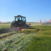 Demoagro 2015