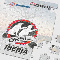 ORSI IBERIA foundation