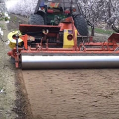 Spring tillage in California almond blossom fields - RG Sicma